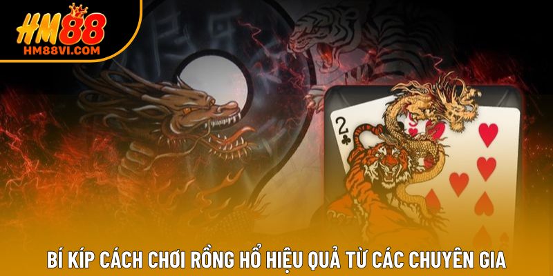 Bí kíp cách chơi Rồng Hổ hiệu quả từ các chuyên gia
