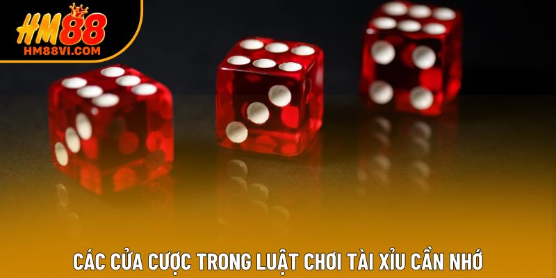 Các cửa cược trong luật chơi tài xỉu cần nhớ