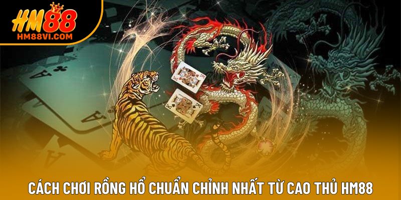 Cách Chơi Rồng Hổ Chuẩn Chỉnh Nhất Từ Cao Thủ HM88