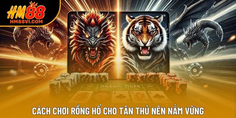 Cách chơi Rồng Hổ cho tân thủ nên nắm vững