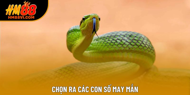 Chọn ra các con số may mắn