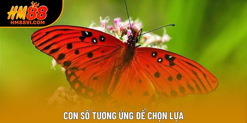 Con số tương ứng để chọn lựa Con số tương ứng để chọn lựa