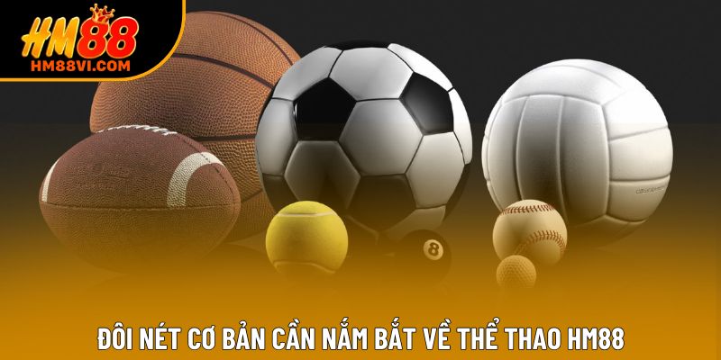 Đôi nét cơ bản cần nắm bắt về thể thao HM88 Đôi nét cơ bản cần nắm bắt về thể thao HM88