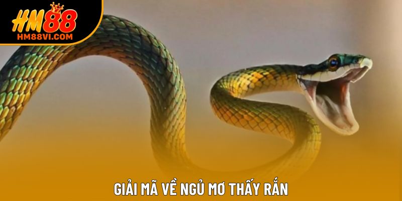 Giải mã về ngủ mơ thấy rắn