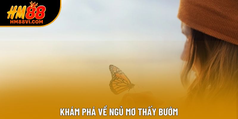 Khám phá về ngủ mơ thấy bướm Khám phá về ngủ mơ thấy bướm