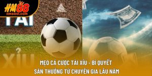 Mẹo cá cược tài xỉu - Bí quyết săn thưởng từ chuyên gia lâu năm