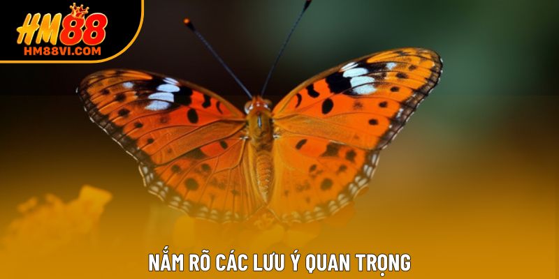 Nắm rõ các lưu ý quan trọng Nắm rõ các lưu ý quan trọng