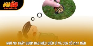 Ngủ Mơ Thấy Bướm Báo Hiệu Điều Gì Và Con Số May Mắn 