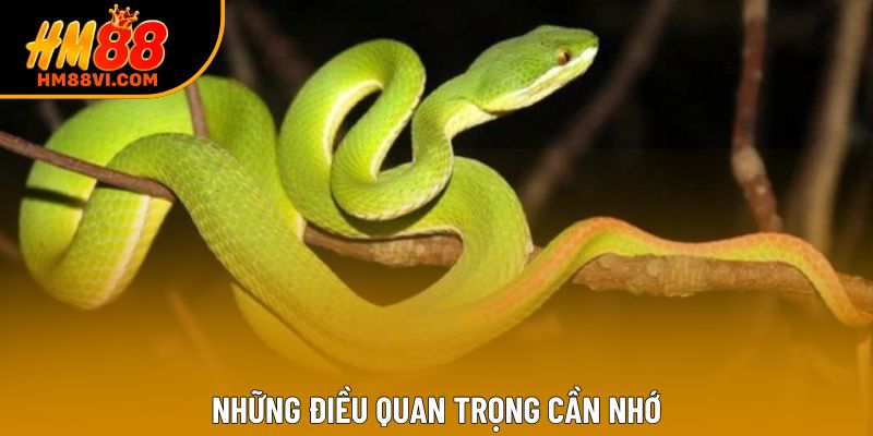 Những điều quan trọng cần nhớ