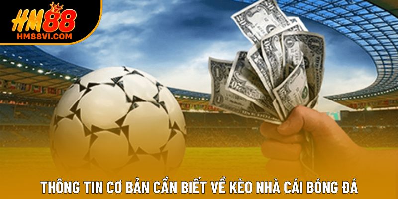 Thông tin cơ bản cần biết về kèo nhà cái bóng đá